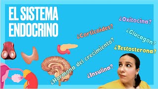 El sistema endocrino y las hormonas  BioESOsfera [upl. by Liagibba]