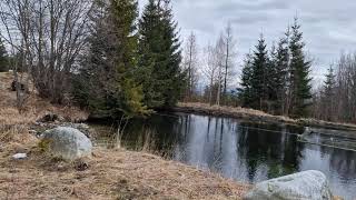 Vysoké Tatry Chovný Rybník [upl. by Suertemed11]