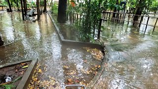 Flooding And Stuck Drain After Heavy Rain​​​ Cleaning Rubbish On Culvert Drain [upl. by Norvan]