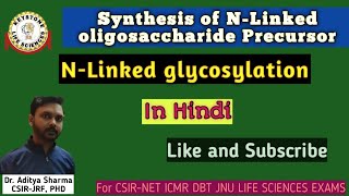 Synthesis amp Assembly of NLinked oligosaccharide Precursor  Glycosylation Of Proteins For CSIRNET [upl. by Artied]