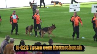 2010 SV BSZS NKGR part 20 Tyson vom Kottersbusch HD [upl. by Neemsay46]