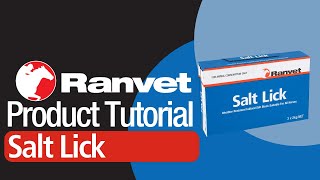 Salt Lick  Product Tutorial [upl. by Adnawot816]