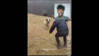 Mt keyanna 😂 memes reactionvideo youtubeshortsactioncrew [upl. by Odlanar839]