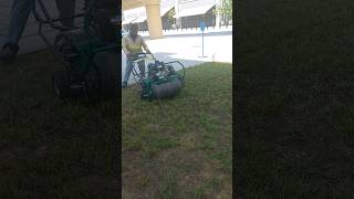 Lawn aeration with overseeding of rye grass [upl. by Amluz348]