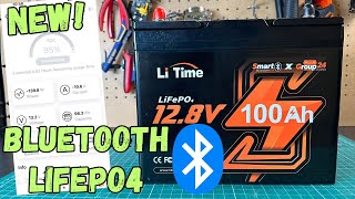 NEW LiTime 100Ah LiFePO4 Battery With Bluetooth [upl. by Lebazej113]