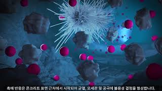 Xypex Technology  Korean Subtitles [upl. by Shanta]