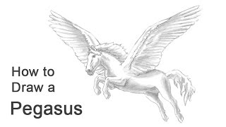 How to Draw a Pegasus [upl. by Archy497]