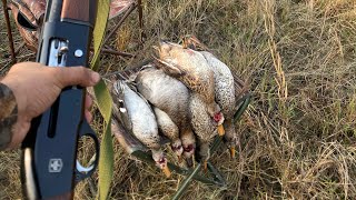 Duck hunting in pakistan  migration of October 2024 murghabi ka shikar [upl. by Elleniad]