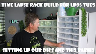 Time Lapse Hatchling Rack Build for LP05 tubs  setting up our new double and triple het babies [upl. by Asiel787]