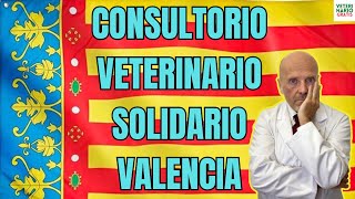 💔 CONSULTORIO VETERINARIO SOLIDARIO CON AFECTADOS GOTA FRÍA VALENCIA 2024 💔 [upl. by Besse]