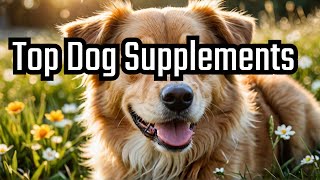 The Best Multivitamins for Your Dog Made By Wuffles  dogsupplements [upl. by Wickner727]