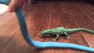 Squishy and stretchy animals review snakes and crocodiles [upl. by Raycher]