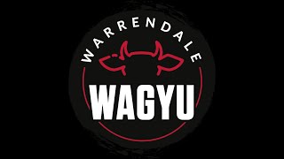 Warrendale Wagyu Overview [upl. by Eitten439]