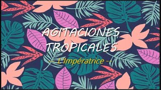 Agitations tropicales  LImpératrice sub  español [upl. by Orson]