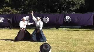 荒木堂 ARAKIDO 2015  Yagyu Shinganryu Taijutsu  Meiji Jingu Kobudo Enbu Taikai [upl. by Leinadnhoj]