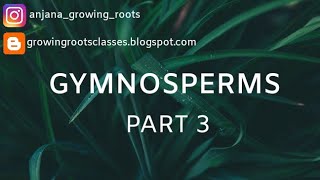 GYMNOSPERMS CYCAS PART3  detailed explanation in Malayalambased on bsc Botany syllabus മലയാളം [upl. by Refotsirhc]