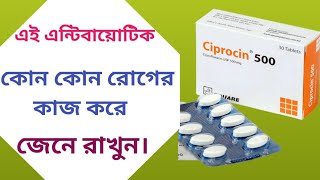 Ciprocin 500  ciprocin 500 কি কাজ করে  ciprofloxacin 500mg কি কাজ করে [upl. by Ahsimik]