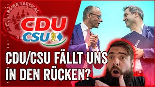 Die CDUCSU unterstütz Faesers Gesetzesentwurf  News [upl. by Cele682]