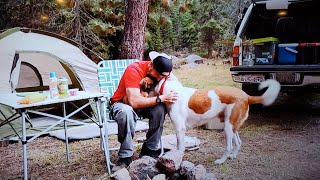 TRUCK CAMPING WITH MY DOG Tri Tip beer and Ryan McMuffins Leave No Trace [upl. by Ingmar405]