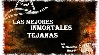 LAS MEJORES INMORTALES TEJANAS  DJ Gilberto Rodriguez [upl. by Esirtal88]