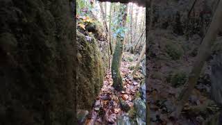 Exploring Ancient Irish Cottage Ruins in an Enchanted Forest adventure travel [upl. by Palmira]