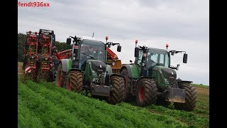 Arrachage de carottes  Fendt 516 amp Dewulf [upl. by Stokes626]