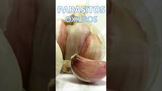 Parásitos intestinales oxiuros ¿Cómo eliminarlos parasitos niñossaludables remedioscaseros [upl. by Marlon28]