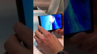 【CES2019】Royoleの折りたたみスマホ「FlexPai」 [upl. by Krein]