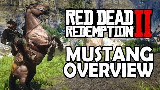 Mustang Overview  Red Dead Redemption 2 Horses [upl. by Ahsieki800]