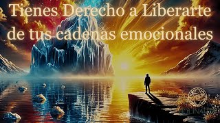 105 El Derecho a Sentir Deja de Reprimir y Libérate con jrfitonline [upl. by Farrish]