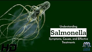 Salmonella Uncovered Symptoms Causes amp Cure [upl. by Canter123]