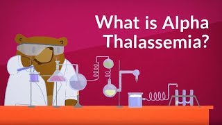 What is Alpha Thalassemia Blood Disorder [upl. by Alabaster]