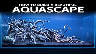 HOW TO BUILD A BEAUTIFUL AQUASCAPE EASILY  INSPIRATION HARDSCAPE LAYOUT [upl. by Nol]