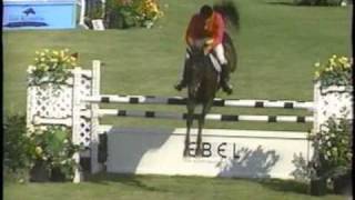 SHOWJUMPING Thoroughbred Domination [upl. by Kcirad]