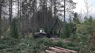 Ponsse Ergo H7 harvester head Boreen Timber Harvesting [upl. by Finstad33]