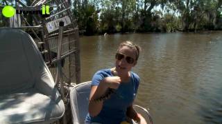 New Orleans Louisiana Airboat Tours [upl. by Oates]