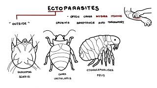 Parasites Overview [upl. by Asin]