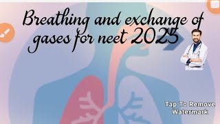 breathing and exchange of gases for neet 2025 [upl. by Gyasi]