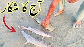 Fishing hunting in Pakistan [upl. by Milon25]