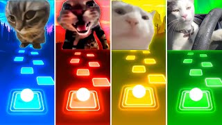 Chipi Chipi Chapa Chapa Cat vs Doorbell Meow Cat vs Vibing Cat vs Driving Cat  Tiles Hop EDM Rush [upl. by Palila678]