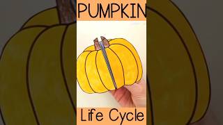 The life cycle of a pumpkin science craft activity Christmas Snowman DIY crafts [upl. by Edva701]