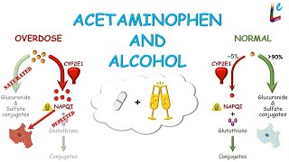 Pharmacokinetics 10 Drug metabolismclinical scenarios acetaminophen paracetamol [upl. by Ayotal]