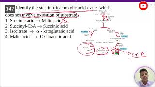 Identify the step in tricarboxylic acid cycle which does not involve oxidation of substrate [upl. by Rausch]