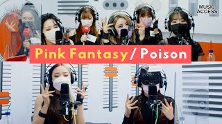 Pink Fantasy 핑크판타지  Poison 독  KPop Live Session  Music Access [upl. by Ellissa813]