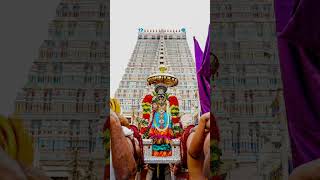 surasamharam status ✨〽️🙇devotional songs thiruthanimurugantemple godmurugansongs tamil [upl. by Aerb485]