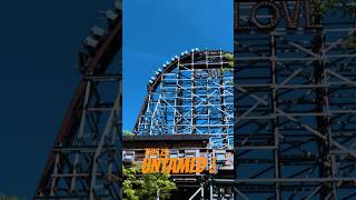 Untamed Walibi Holland shorts [upl. by Maze]