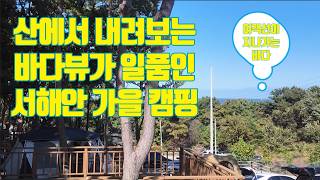 ENGsub가을산과 가을바다를 동시에 즐길 수 있는 서해안에 있는 캠핑장페기구𝐏𝐞𝐠𝐠𝐲 𝐆𝐨𝐮노래 감상 나이스아이 나이스아이한라이프 나이스한라이프 바블로브텀블러 [upl. by Iroc]