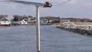 Boat ride to Herring River Harwich MA [upl. by Mccullough265]