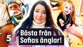 Olyckor tårar hjärtekross  det känslosammaste från Sofias änglar  Kanal 5 Sverige [upl. by Melvina977]