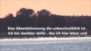 Brunft Dort wo Hirsche und Kraniche schreien [upl. by Iek]